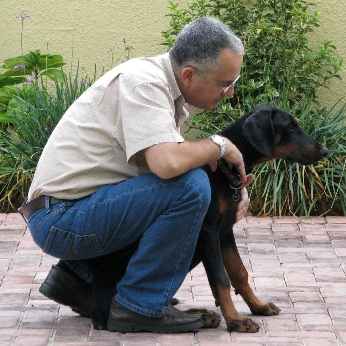 doberman pincher